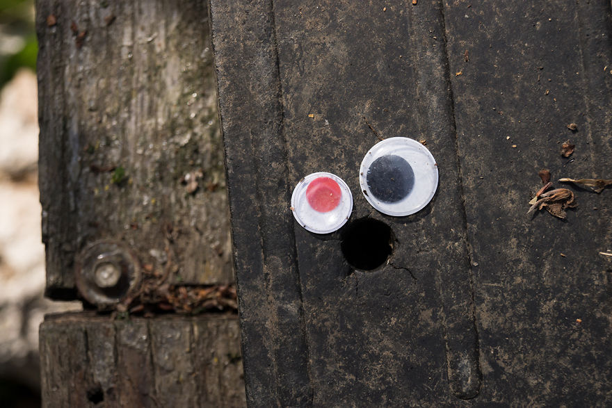 With Two Eyes In Their Hand, They Started To Look For Shapes. And They Found Them