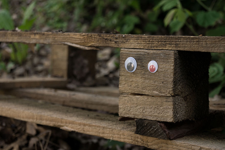 With Two Eyes In Their Hand, They Started To Look For Shapes. And They Found Them