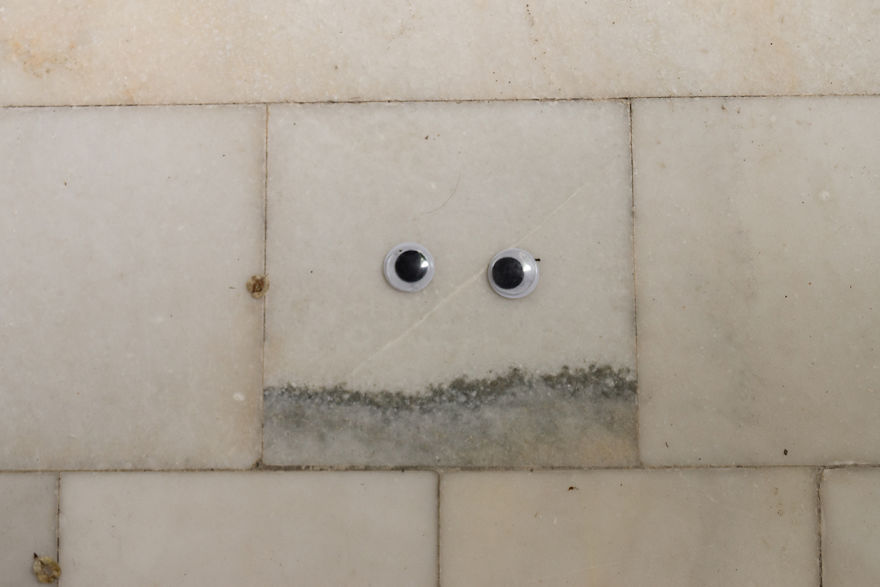 With Two Eyes In Their Hand, They Started To Look For Shapes. And They Found Them