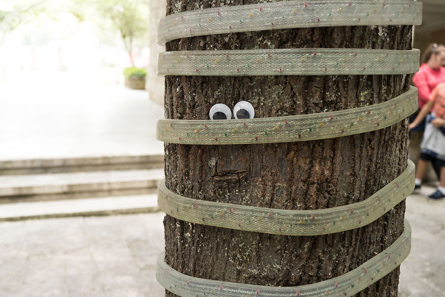 With Two Eyes In Their Hand, They Started To Look For Shapes. And They Found Them