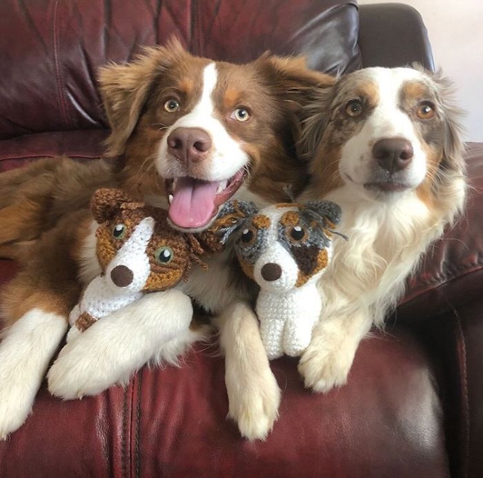 You Can Get A Hand Crocheted Version Of Your Dog!