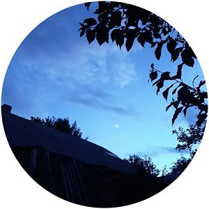 georgianachelaru avatar