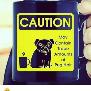 johanna_zamora avatar