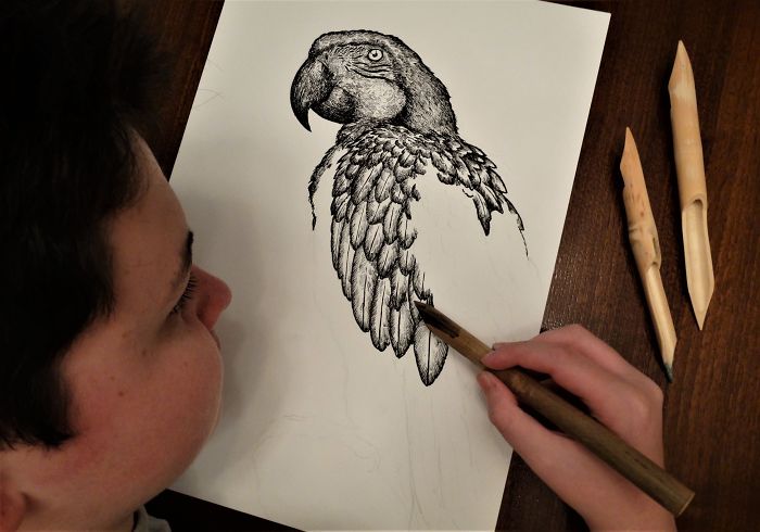 15-Year-Old Boy Prodigy Creates Animal Drawings From Memory, And They're Even More Impressive From Up-Close