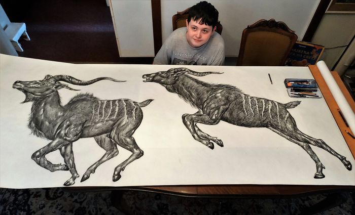 15-Year-Old Boy Prodigy Creates Animal Drawings From Memory, And They're Even More Impressive From Up-Close