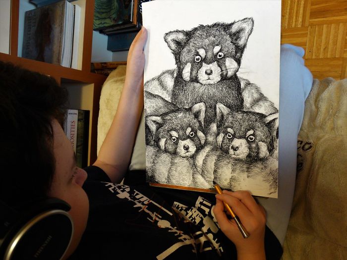 15-Year-Old Boy Prodigy Creates Animal Drawings From Memory, And They're Even More Impressive From Up-Close