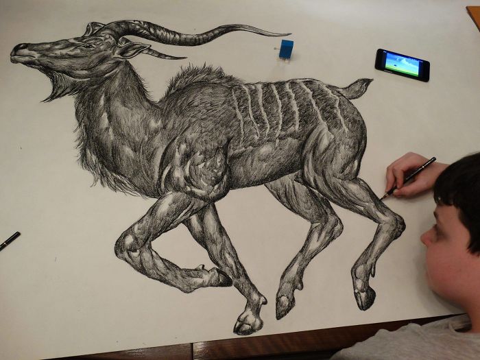 15-Year-Old Boy Prodigy Creates Animal Drawings From Memory, And They're Even More Impressive From Up-Close