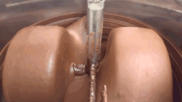 chocolate-making-bean-to-bar-dom-ramsey-gif1