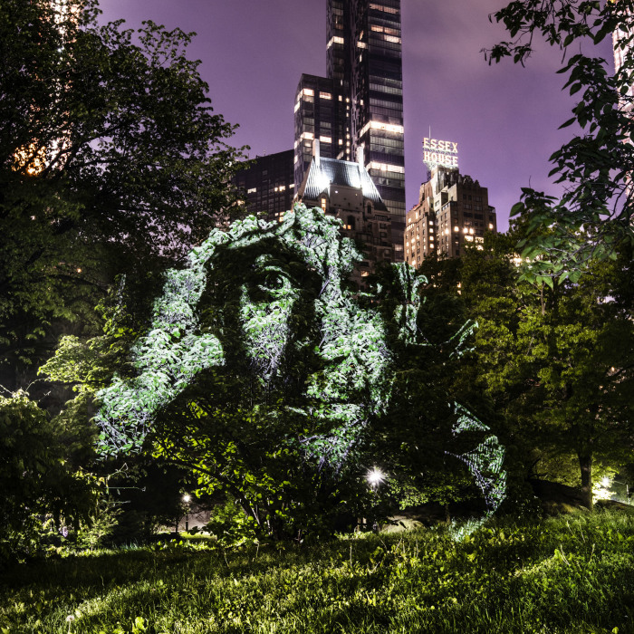 Artist Creates Incredible Portraits In Central Park Using Light Projections