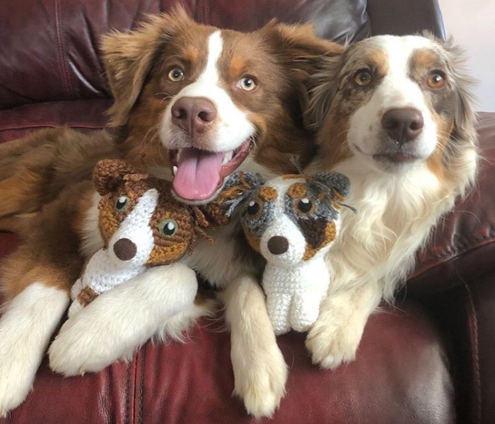 29 Stuffed Animals That I Created Based On Other People’s Pets