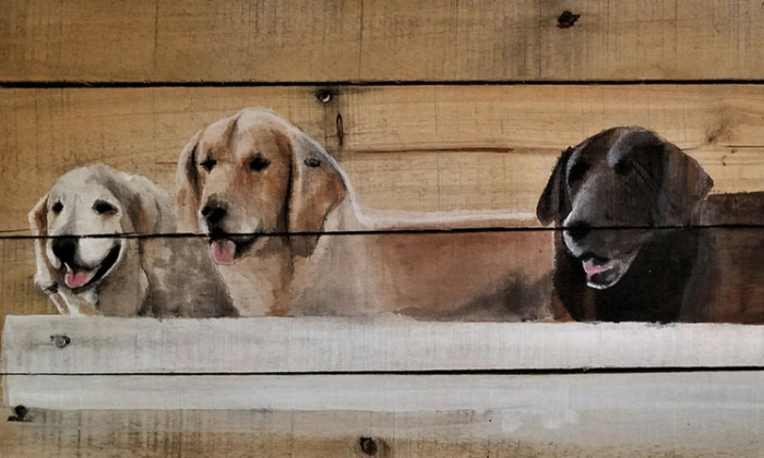 I Hand Paint Pet Portraits On Rustic Reclaimed Barn Wood