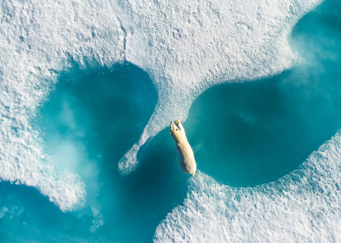 The Winners Of The Nature Conservancy Photo Contest 2018 Has Just Been Announced, And Some Of Them Will Make You Think