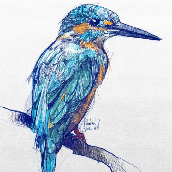 Hi, I’m Flo And I Draw Stuff And People