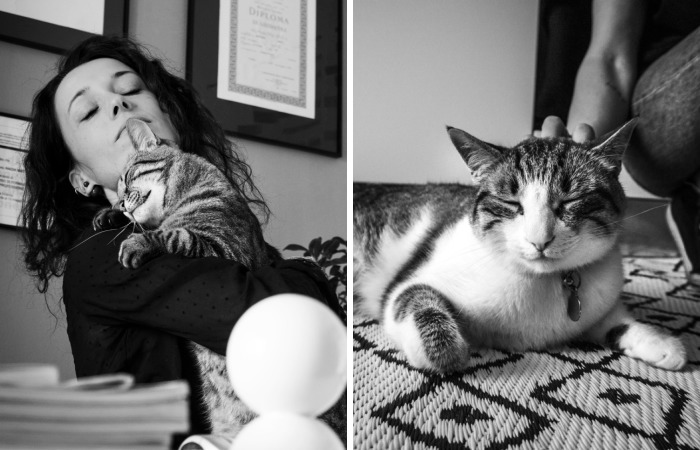 Catisfaction: I Captured These 34 Beautiful Moments Of Happy Cats (New Pics)