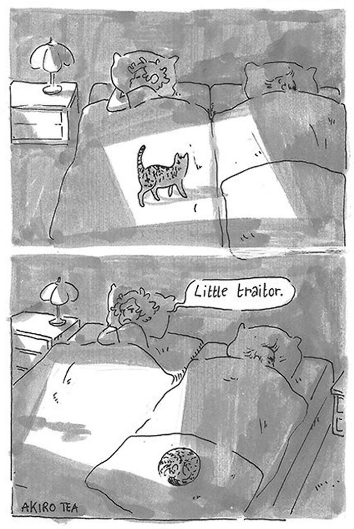 Daughter Hilariously Illustrates Her Dad&rsquo;s Ambivalent Relationship With Their Cat In 8 Honest Comics