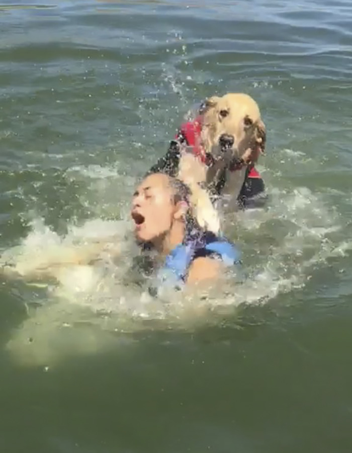 Internet Is Laughing Out Loud At The Way This Nice Lake Day Escalated Internet Is Laughing Out Loud At The Way This Nice Lake Day Escalated