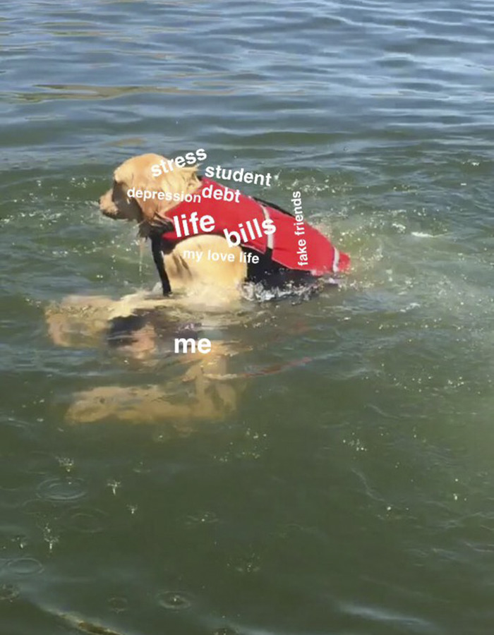 Internet Is Laughing Out Loud At The Way This Nice Lake Day Escalated Internet Is Laughing Out Loud At The Way This Nice Lake Day Escalated