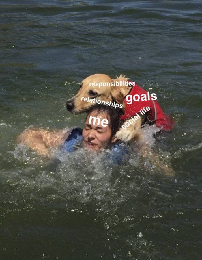 Internet Is Laughing Out Loud At The Way This Nice Lake Day Escalated