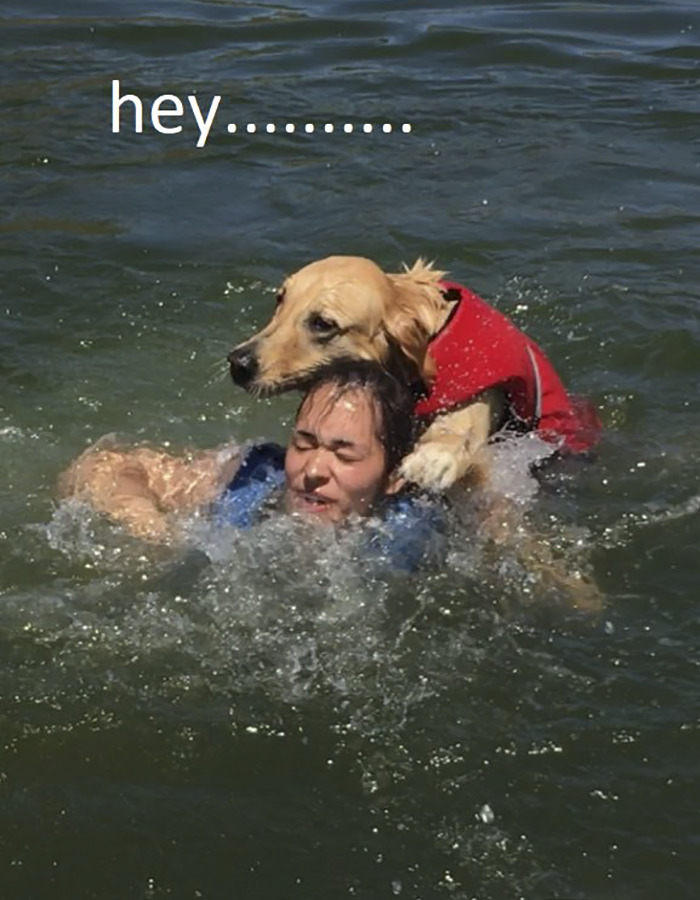 Internet Is Laughing Out Loud At The Way This Nice Lake Day Escalated Internet Is Laughing Out Loud At The Way This Nice Lake Day Escalated