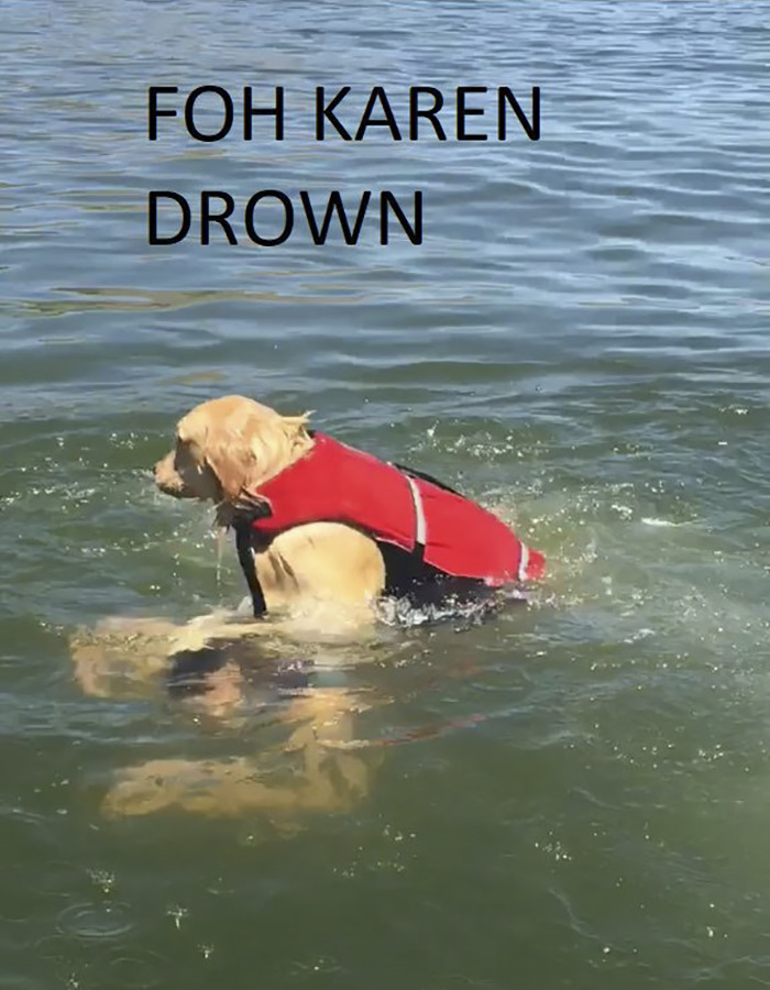 Internet Is Laughing Out Loud At The Way This Nice Lake Day Escalated Internet Is Laughing Out Loud At The Way This Nice Lake Day Escalated