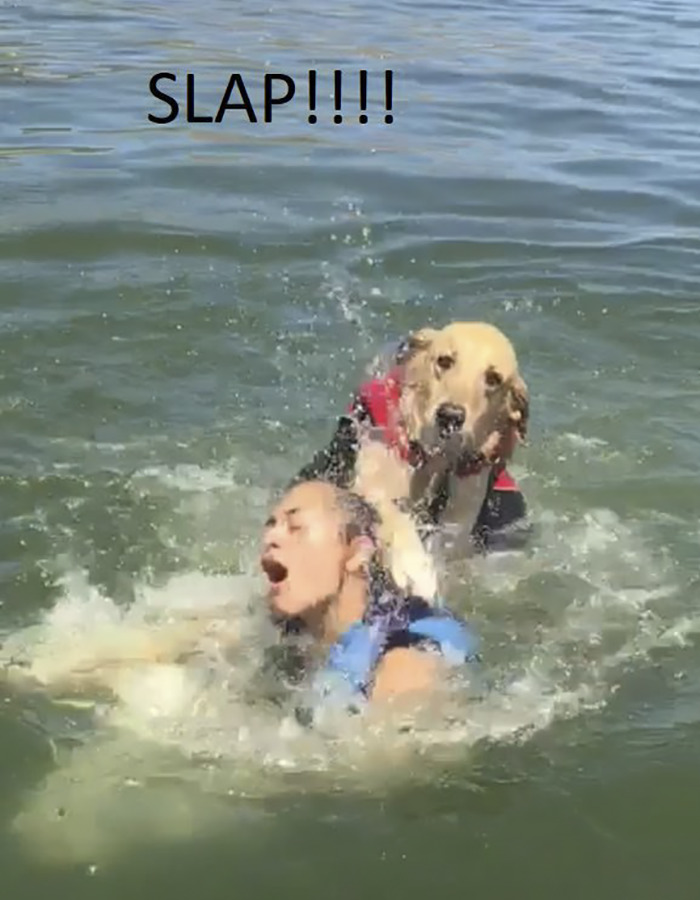 Internet Is Laughing Out Loud At The Way This Nice Lake Day Escalated Internet Is Laughing Out Loud At The Way This Nice Lake Day Escalated