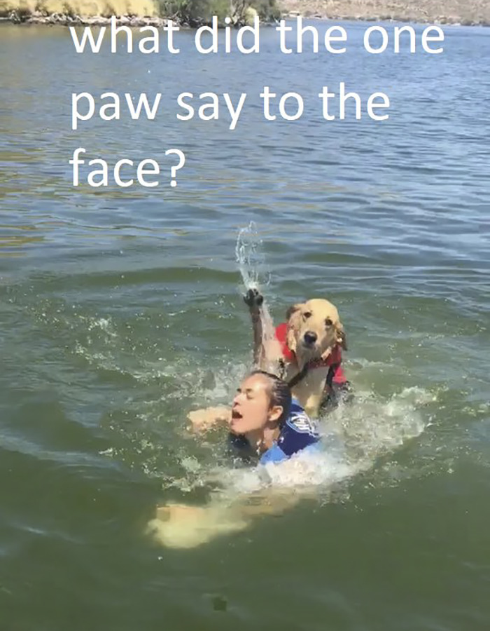 Internet Is Laughing Out Loud At The Way This Nice Lake Day Escalated Internet Is Laughing Out Loud At The Way This Nice Lake Day Escalated