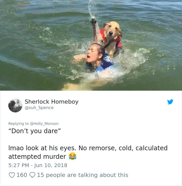Internet Is Laughing Out Loud At The Way This Nice Lake Day Escalated