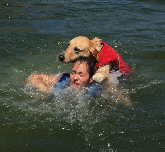 Internet Is Laughing Out Loud At The Way This Nice Lake Day Escalated Internet Is Laughing Out Loud At The Way This Nice Lake Day Escalated