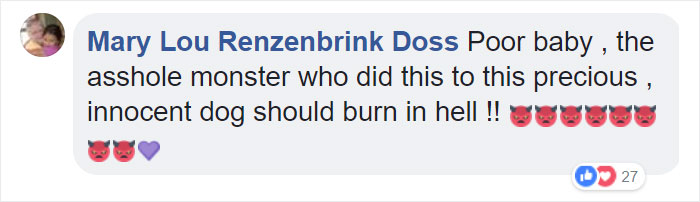 Woman Finds A Wet Dog With Something Weird Tied Around His Neck, Starts Crying When She Realizes What It Is