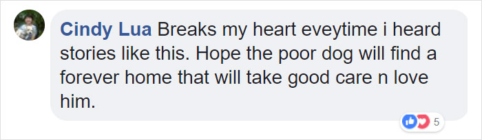 Woman Finds A Wet Dog With Something Weird Tied Around His Neck, Starts Crying When She Realizes What It Is