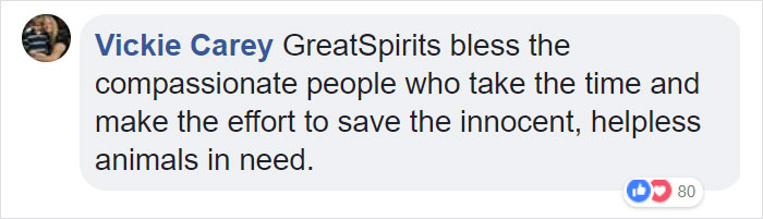 Woman Finds A Wet Dog With Something Weird Tied Around His Neck, Starts Crying When She Realizes What It Is