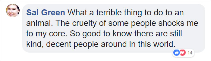Woman Finds A Wet Dog With Something Weird Tied Around His Neck, Starts Crying When She Realizes What It Is
