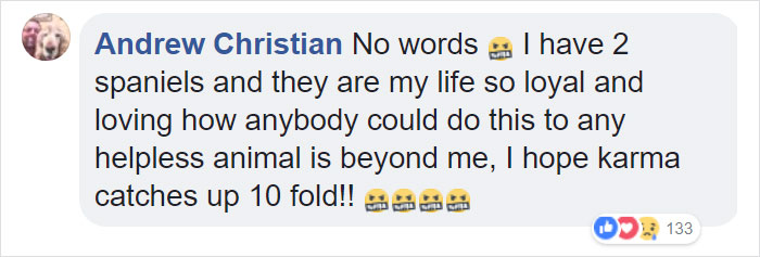 Woman Finds A Wet Dog With Something Weird Tied Around His Neck, Starts Crying When She Realizes What It Is