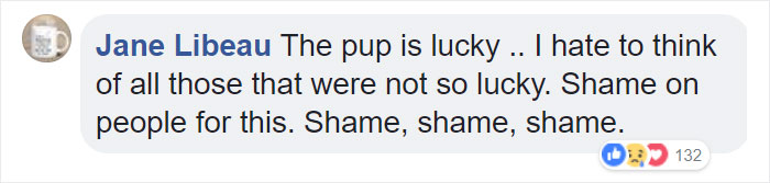 Woman Finds A Wet Dog With Something Weird Tied Around His Neck, Starts Crying When She Realizes What It Is