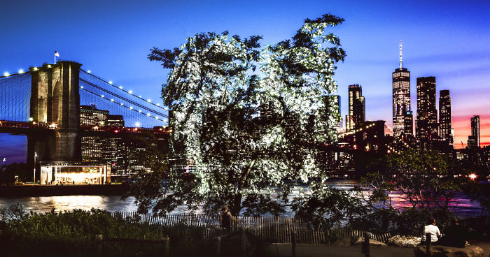Artist Creates Incredible Portraits In Central Park Using Light ProjectionsArtist Creates Incredible Portraits In Central Park Using Light Projections