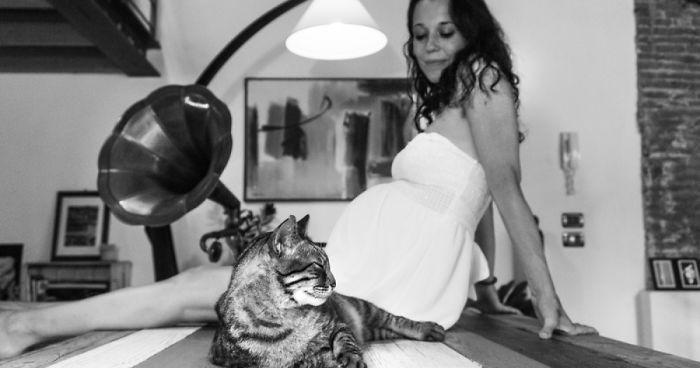 I Photograph Mommies-To-Be With Their Cats To Fight Prejudices