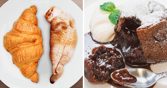 I Started Photoshopping Cats Into Food, And Somehow Ended Up Getting 74,000 Followers On Instagram