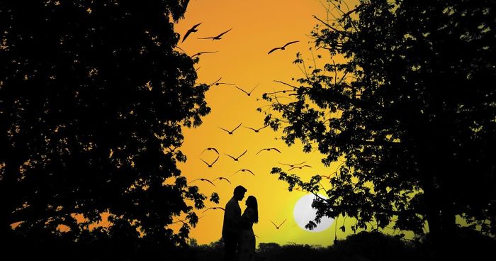 I Photographed The Silhouettes Of The Love Story