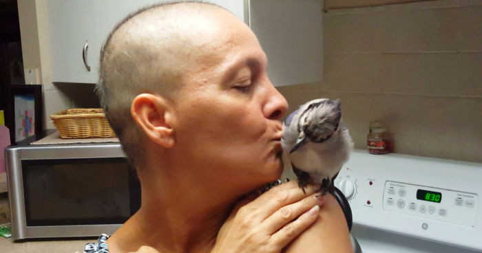 Saved By A Winged Angel