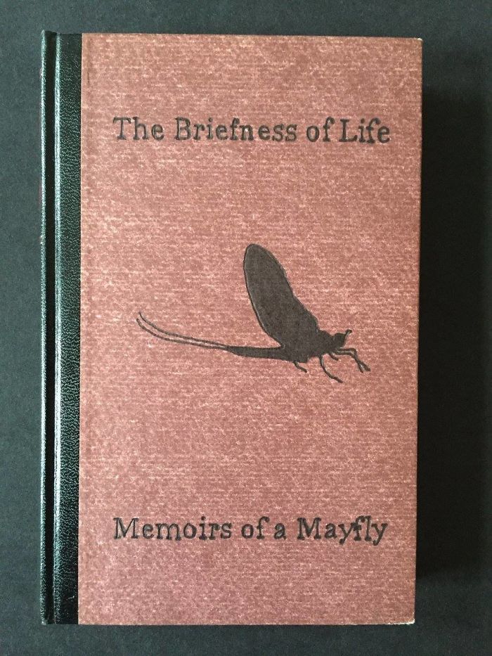 Fictional Self-Help Books