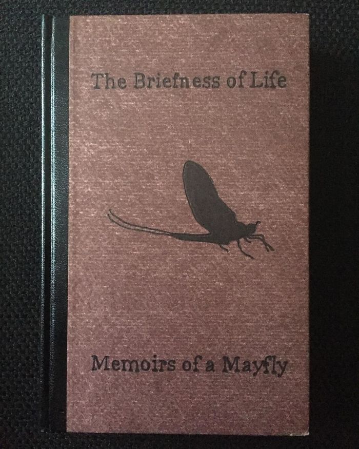 Fictional Self-Help Books