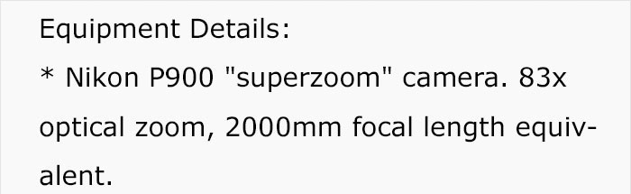 Guy Proves Flat-Earthers Are Wrong In The Most Brilliant Way