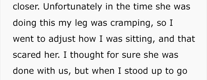 Woman Wants To Adopt A Starved And Terrified Dog, But Her Boyfriend's Response Will Break Your Heart Woman Wants To Adopt A Starved And Terrified Dog, But Her Boyfriend's Response Will Break Your Heart