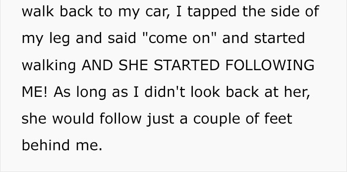 Woman Wants To Adopt A Starved And Terrified Dog, But Her Boyfriend's Response Will Break Your Heart Woman Wants To Adopt A Starved And Terrified Dog, But Her Boyfriend's Response Will Break Your Heart