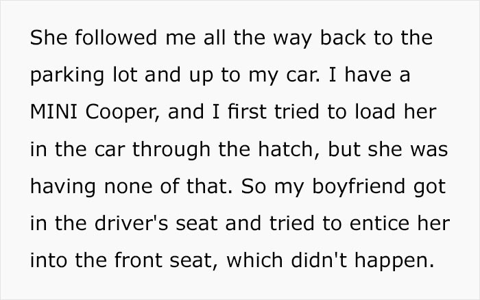 Woman Wants To Adopt A Starved And Terrified Dog, But Her Boyfriend's Response Will Break Your Heart Woman Wants To Adopt A Starved And Terrified Dog, But Her Boyfriend's Response Will Break Your Heart