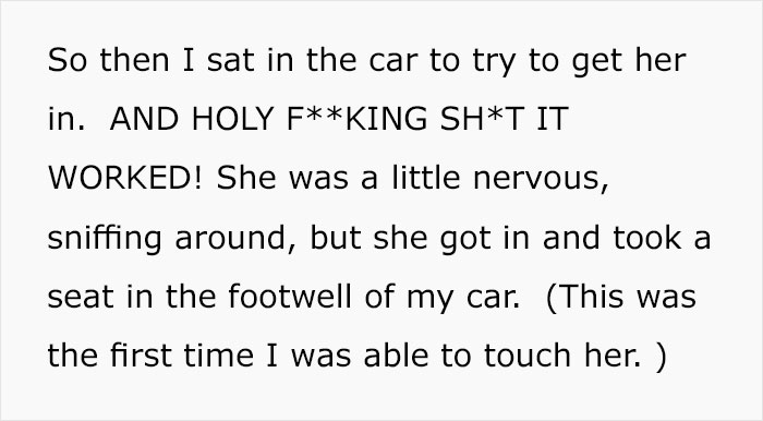 Woman Wants To Adopt A Starved And Terrified Dog, But Her Boyfriend's Response Will Break Your Heart Woman Wants To Adopt A Starved And Terrified Dog, But Her Boyfriend's Response Will Break Your Heart