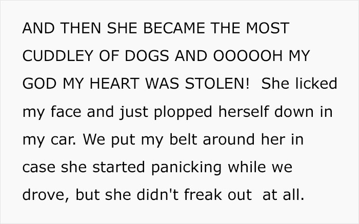 Woman Wants To Adopt A Starved And Terrified Dog, But Her Boyfriend's Response Will Break Your Heart Woman Wants To Adopt A Starved And Terrified Dog, But Her Boyfriend's Response Will Break Your Heart