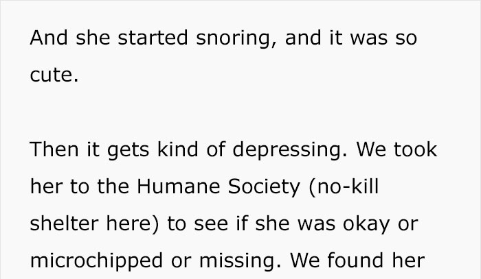 Woman Wants To Adopt A Starved And Terrified Dog, But Her Boyfriend's Response Will Break Your Heart Woman Wants To Adopt A Starved And Terrified Dog, But Her Boyfriend's Response Will Break Your Heart