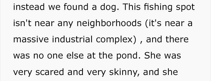Woman Wants To Adopt A Starved And Terrified Dog, But Her Boyfriend's Response Will Break Your Heart Woman Wants To Adopt A Starved And Terrified Dog, But Her Boyfriend's Response Will Break Your Heart