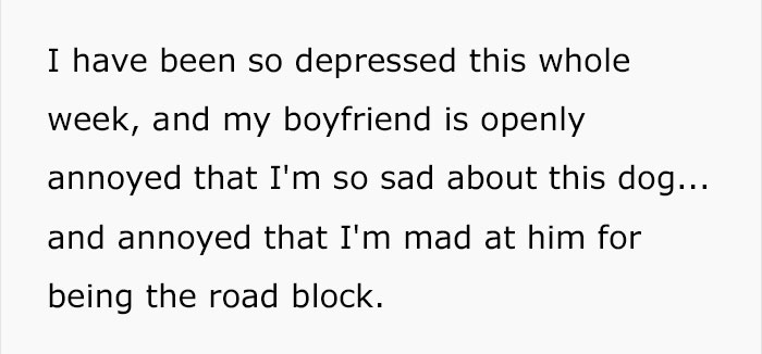 Woman Wants To Adopt A Starved And Terrified Dog, But Her Boyfriend's Response Will Break Your Heart Woman Wants To Adopt A Starved And Terrified Dog, But Her Boyfriend's Response Will Break Your Heart